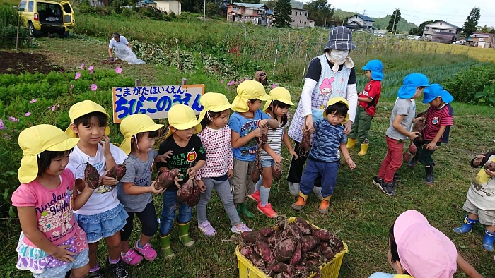 野菜の収穫体験