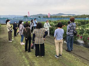 「ダリアのオオヤマ」さんによる熱心な解説