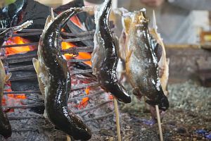 渓流魚の炭火焼き