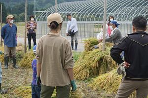 杭掛け作業について解説