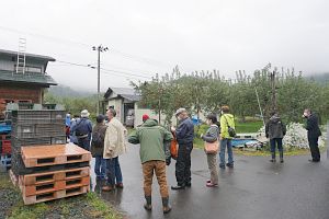 「ABE果樹園」さんでのりんご収穫体験