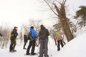 冬ならではの自然観察には、新しい発見や驚きがあります