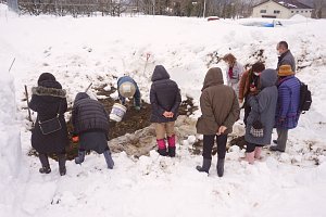 掘り起こされた雪の下、農家さんの丁寧な収穫を見守ります