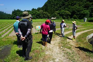 体験受け入れ先は「秋田(湯沢)自然＆有機栽培農学校」さん