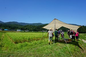 雲ひとつない晴天！熱中症に注意