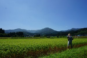 遠くに臨む神室山