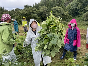 かむろ秋の恵み・おいしく学ぶ「自然＆有機栽培」