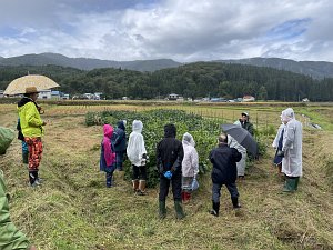 雨の合い間を見て「自然栽培ほ場」へ