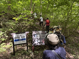 インストラクターを先頭に林道を進みます