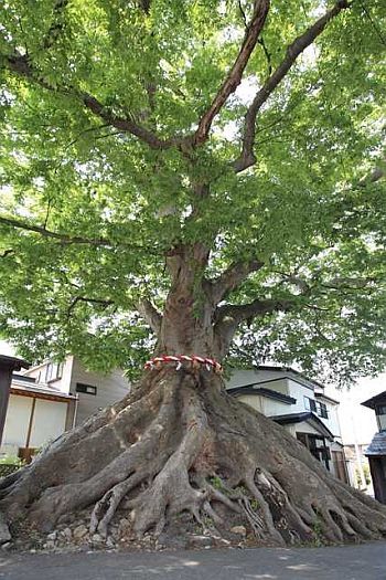 愛宕町一里塚