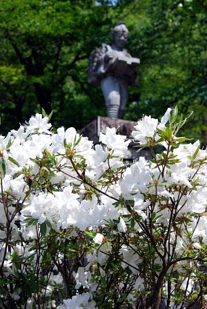 中央公園1