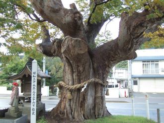 湯の原の一里塚