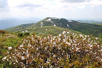 高松岳